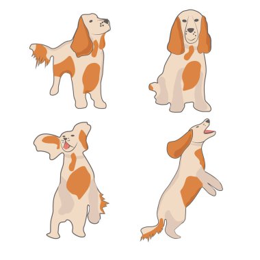 spaniel in different movements - emotions
