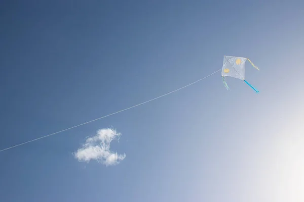 Papagaio Voando Céu Azul — Fotografia de Stock