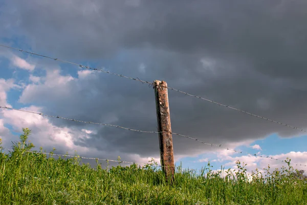 Garden fence tied with barbed wire. Cloudy weather in the background. The season is spring.
