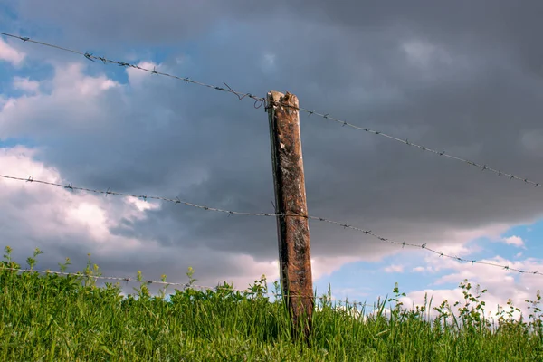 Garden fence tied with barbed wire. There are dark clouds in the background. The season is spring.