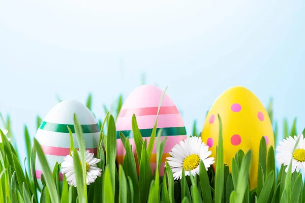 Multi Coloured Easter Eggs Grass Happy Easter Greeting Card — Stock Photo, Image