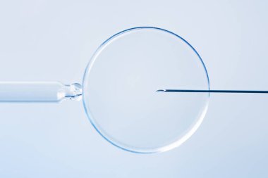 Tüp bebek konseptinde. Suni döllenme veya doğurganlık tedavisi makro fotoğrafçılık. 