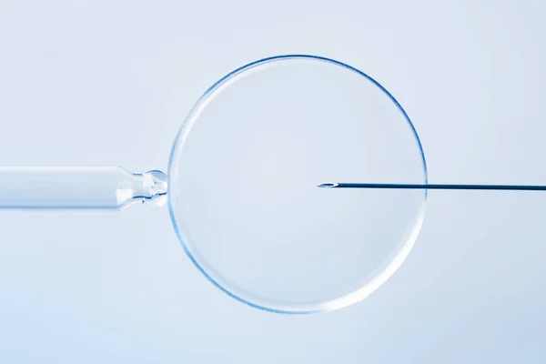 Concepto Fertilización Vitro Inseminación Artificial Tratamiento Fertilidad Macro Fotografía — Foto de Stock