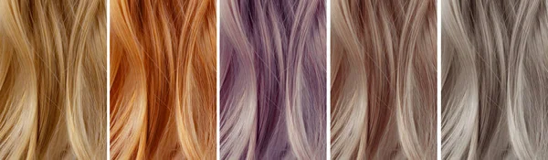 Colour Swatches Hair Dye Hair Colour Palette Variety Samples —  Fotos de Stock