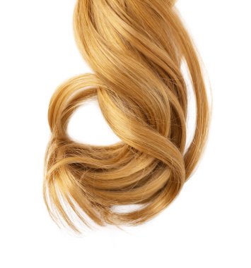 Long golden blond curly hair isolated on white background. A part of blond hair for design.