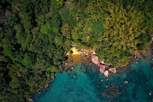 İnsansız tropikal ada, altın kum ve tropikal yeşillik, drone manzaralı