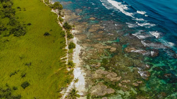 drone view of the sea with rocky beach