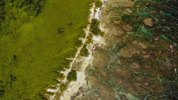 Tampilan Drone Laut Dengan Pantai Berbatu — Stok Foto