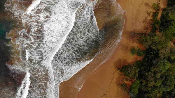 Deniz kıyısının havadan görünüşü. Altın kumlu tropikal ada, drone manzaralı