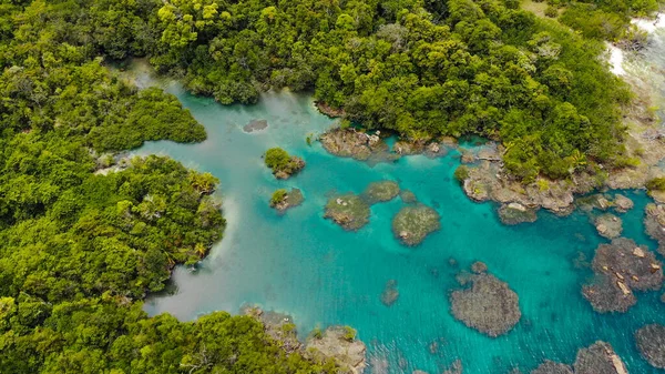 Tropik ada, deniz manzarası. Adadaki taş plaj, hava manzaralı. 