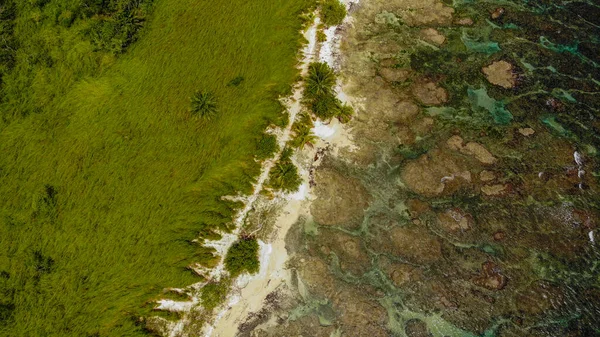 Tampilan Drone Laut Dengan Pantai Berbatu Stok Gambar Bebas Royalti