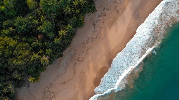 海の海岸の空中ビュー 黄金の砂と熱帯の島 ドローンビュー ストック画像