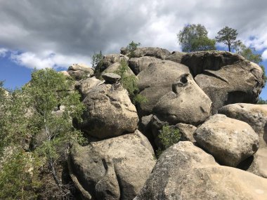 Doğanın güzel manzarası