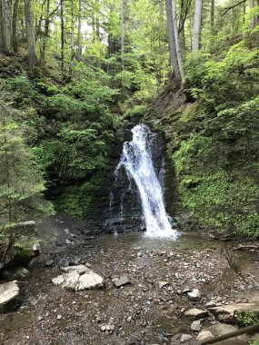 a waterfall with a small river between forest