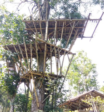 Ormanın ortasındaki büyük bir ağacın üzerinde ahşap bir ev.