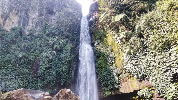 瀑布在长满绿色植物的岩石山间自由流动 — 图库照片