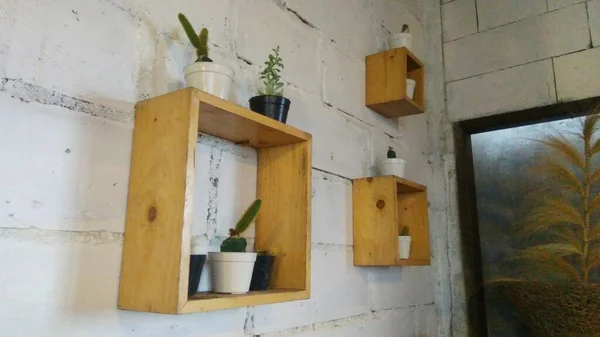 Obdélníková Dřevěná Deska Které Jsou Stěně Připevněny Dekorativní Květiny Kaktusy — Stock fotografie