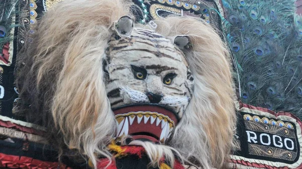 Close Lion Head Art Reog Ponorogo — Stok Foto