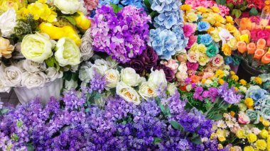 High angle view of colorful ornamental plants that refresh the eyes