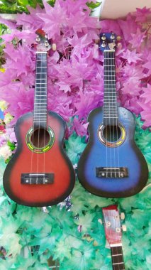 Two Ukulele hanging in the vertical garden of the Music Store
