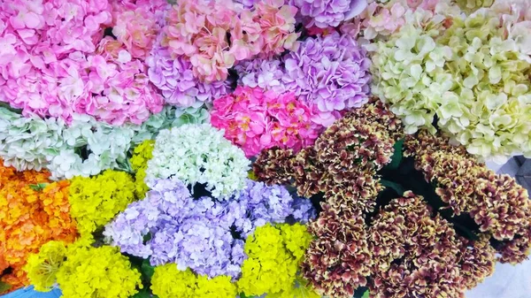 High Angle View Various Colorful Fresh Flowers — Fotografia de Stock