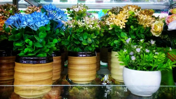 Flowers Ceramic Pots Guest Table Decoration — Foto Stock