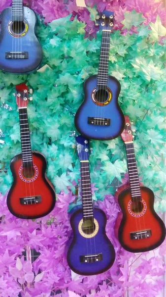 Ukulele hanging in the vertical garden of the Music Store