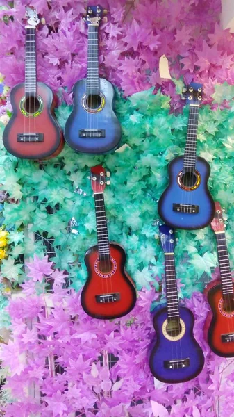 Colorful Ukulele hanging in the vertical garden of the Music Store