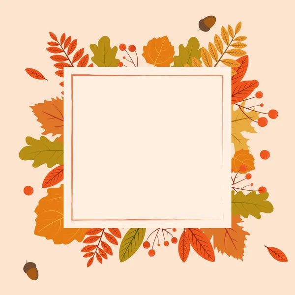 Различные Осенние Листья Рамке — стоковый вектор
