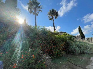Doğanın güzel manzarası