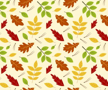 Vektör desenli sonbahar ormanı düz bir şekilde. Farklı ağaçların yaprakları.