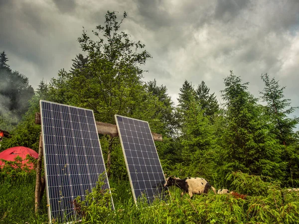 solar panels in a mountain village where farm animals are bred