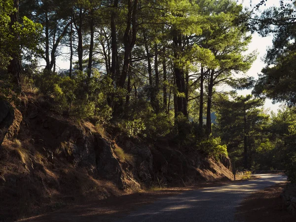 Dağlara seyahat, turizm. Şehirlerden uzakta gün batımına rastladık.