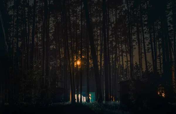 The moon rises over the rest house in the pine forest. People take a break from the bustle of the city in the bosom of nature, remaining at one with their thoughts.