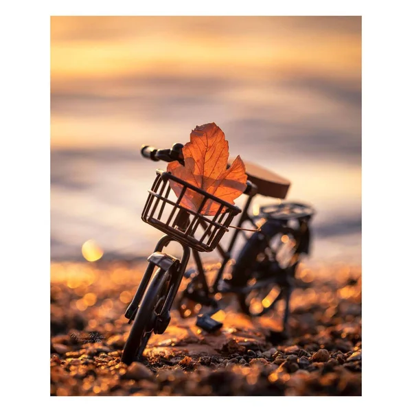 Bicicleta Mini Foto Folha Geométrica Simples Vetor — Vetor de Stock