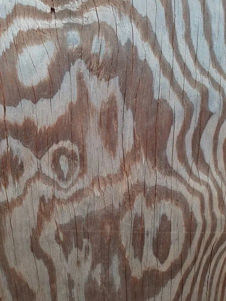 Holzstruktur Natürliche Sperrholzstruktur Hintergrundfläche Mit Alten Natürlichen Mustern Natürliche Eiche — Stockfoto