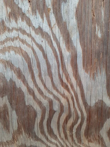 Wood Texture Natural Plywood Texture Background Surface Old Natural Pattern — ストック写真