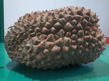 Endonezya 'dan gelen tatlı taze Durian meyvesi. Olgun durian. Soyulmuş lezzetli Durian peyniri..