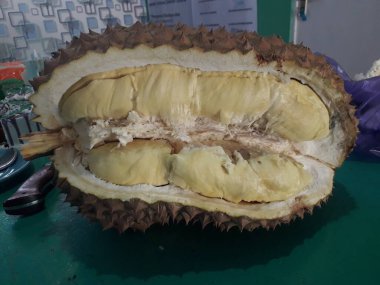 Endonezya 'dan gelen tatlı taze Durian meyvesi. Olgun durian. Soyulmuş lezzetli Durian peyniri..