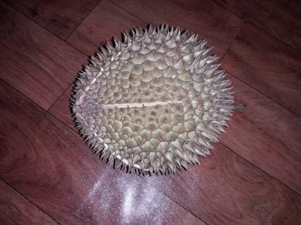 Fruit Indonesia Called Sweet Fresh Durian Fruit Ripe Durian Tasty — Stok Foto