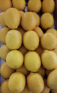 Pazarda taze portakal yığınları satılır. Vücudun C vitamininden bağışıklık kazanması vücuda yararlı olabilir.