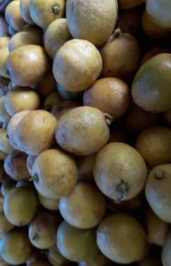 Pazarda taze portakal yığınları satılır. Vücudun C vitamininden bağışıklık kazanması vücuda yararlı olabilir.