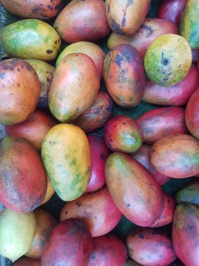 Taze kırmızı lrwin mangoları bir meyve dükkanında satılıktır.