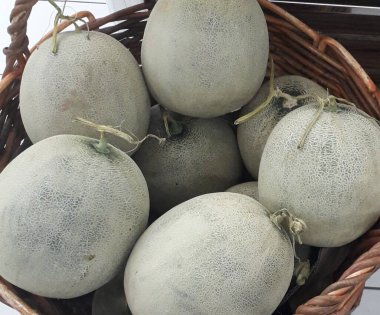 Yakın çekim birçok kavun. Yaz tepsi Pazar Tarım Çiftlik organik meyve dolu. Sağlıklı beslenme. (seçici odak)