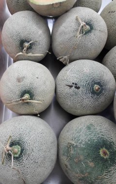 Yakın çekim birçok kavun. Yaz tepsi Pazar Tarım Çiftlik organik meyve dolu. Sağlıklı beslenme. (seçici odak)