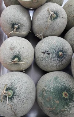 Yakın çekim birçok kavun. Yaz tepsi Pazar Tarım Çiftlik organik meyve dolu. Sağlıklı beslenme. (seçici odak)