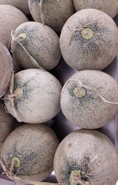 Yakın çekim birçok kavun. Yaz tepsi Pazar Tarım Çiftlik organik meyve dolu. Sağlıklı beslenme. (seçici odak)