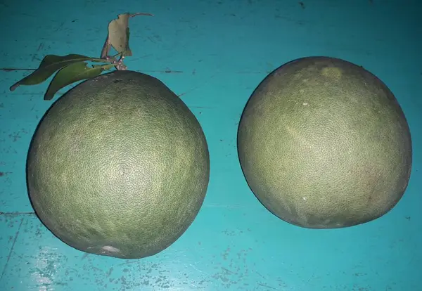 Buah Pomelo Pada Lempeng Jeruk Merah Jeruk Bali Atau Bali — Stok Foto