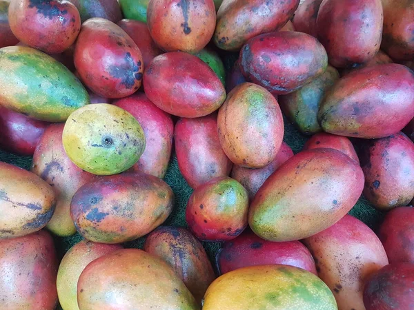 Fresh big red Irwin mangoes for sale at a fruit store