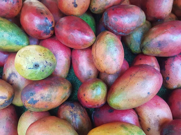 Fresh Big Red Irwin Mangoes Sale Fruit Store — Stock Photo, Image